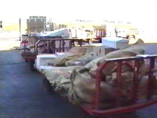 TRANSPORTE 320-13 (222) � IMAGENES FOTOS